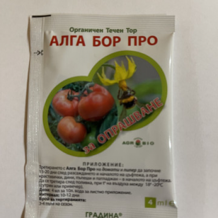 Алга Бор Про