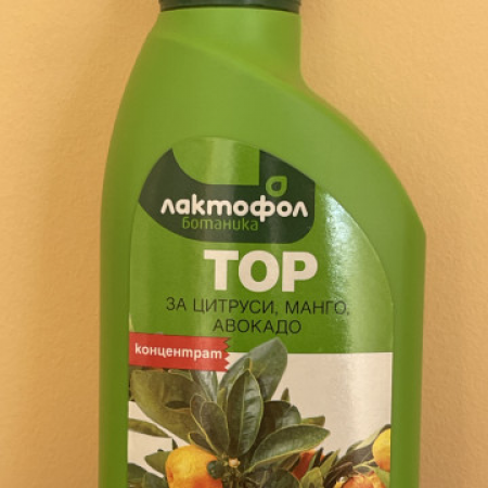 Лактофол тор "Цитруси,манго,авокадо"
