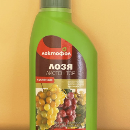 Лaĸтoфoл Листен Top "Лозя"